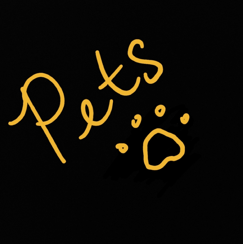 Pet gear - Picture 1 of 1
